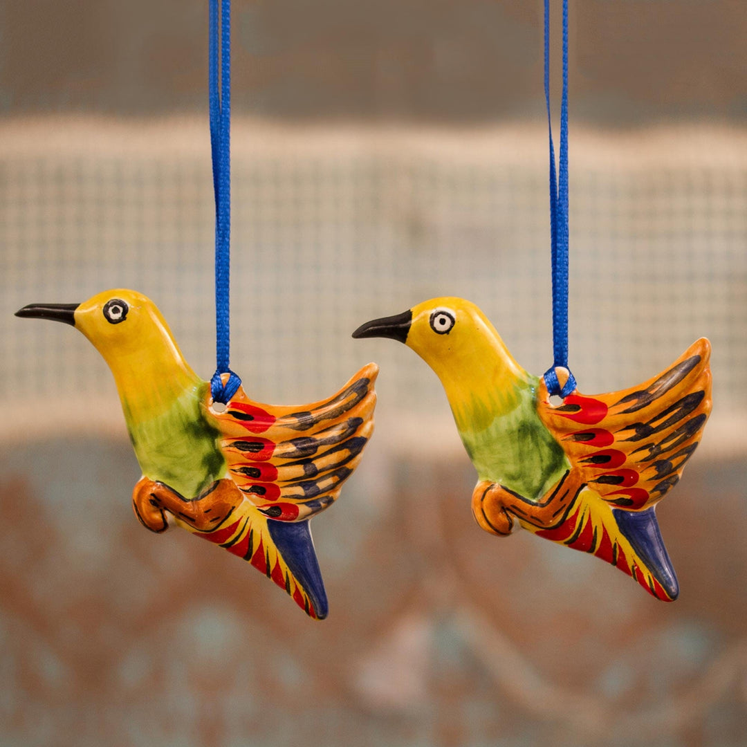 Colorful Hummingbirds