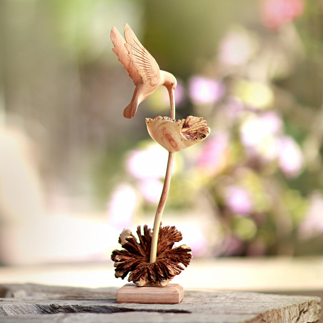 Sipping Hummingbird