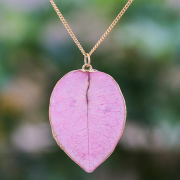 Bougainvillea Love in Pink