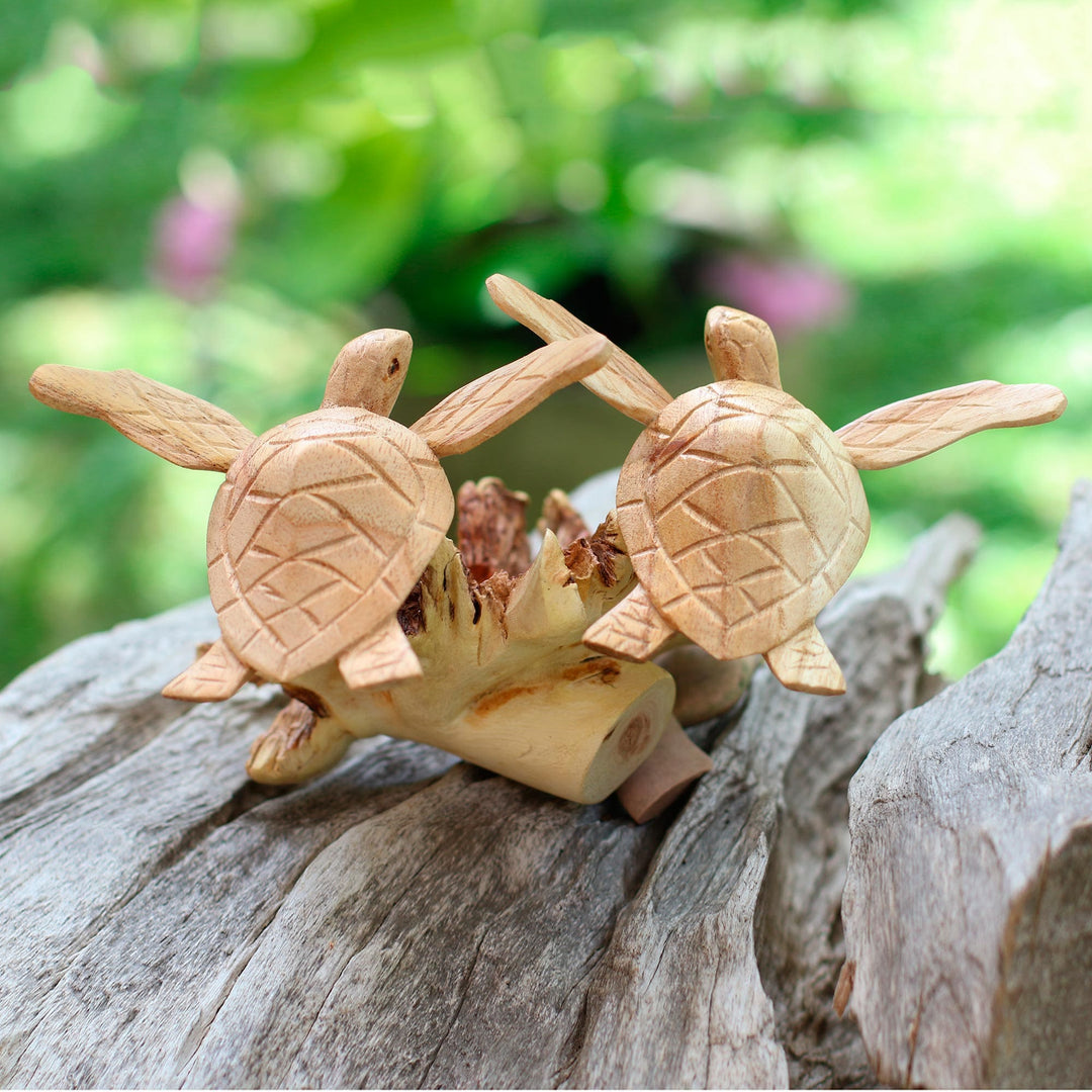 Sea Turtle Companions