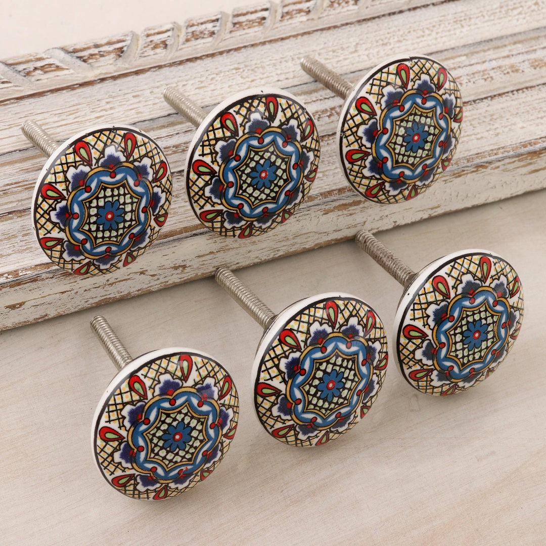 Set of 6 Hand Painted Ceramic Knobs/Drawer Pulls - Floral Appeal