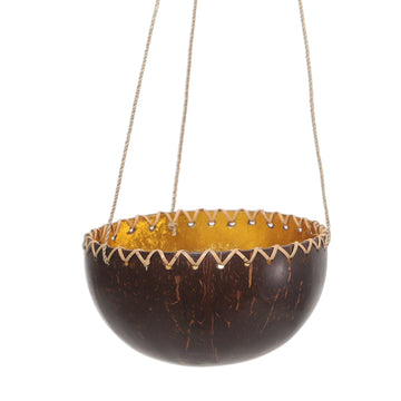 Hanging Coconut Shell Plant Pot - Clean Environment