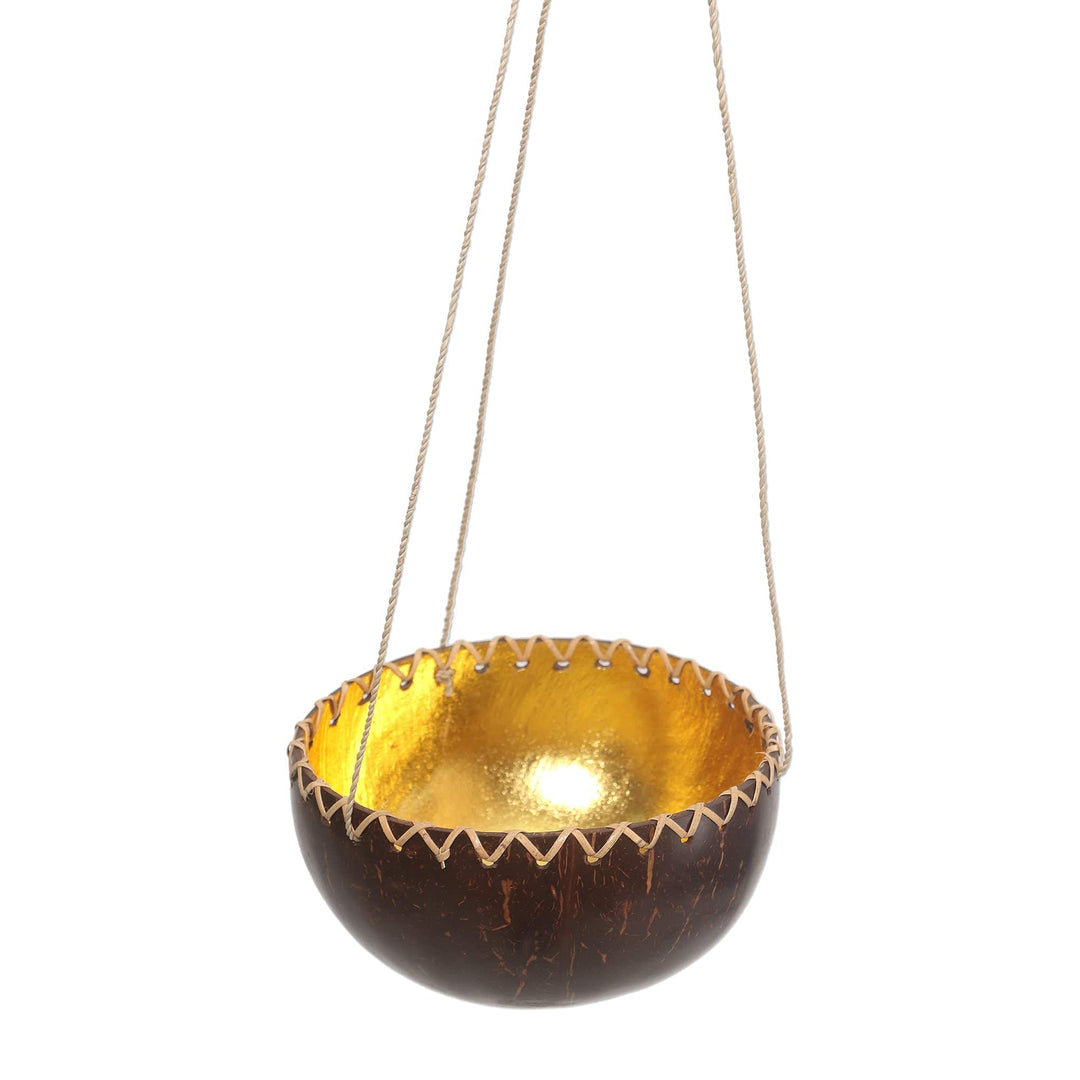 Hanging Coconut Shell Plant Pot - Clean Environment