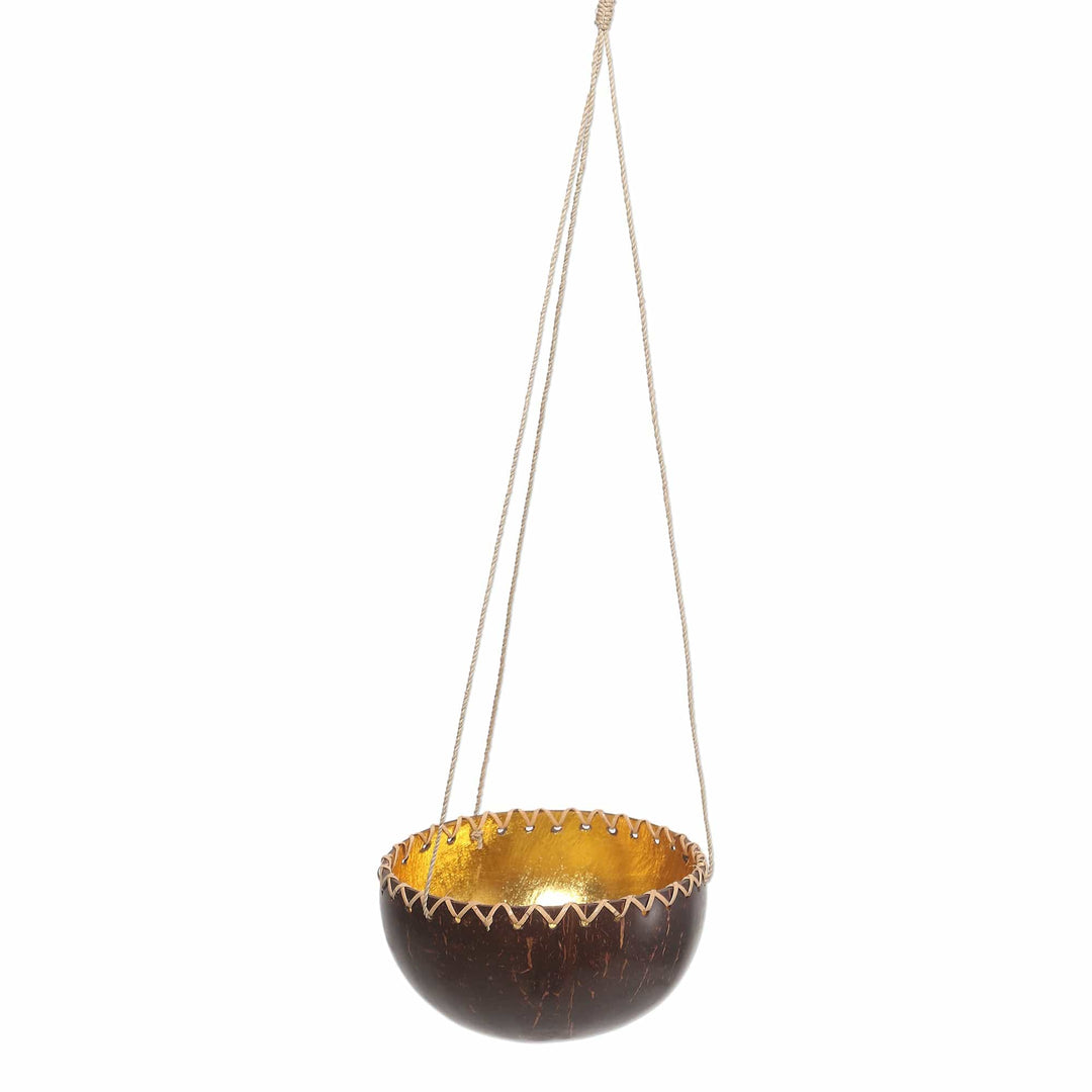 Hanging Coconut Shell Plant Pot - Clean Environment