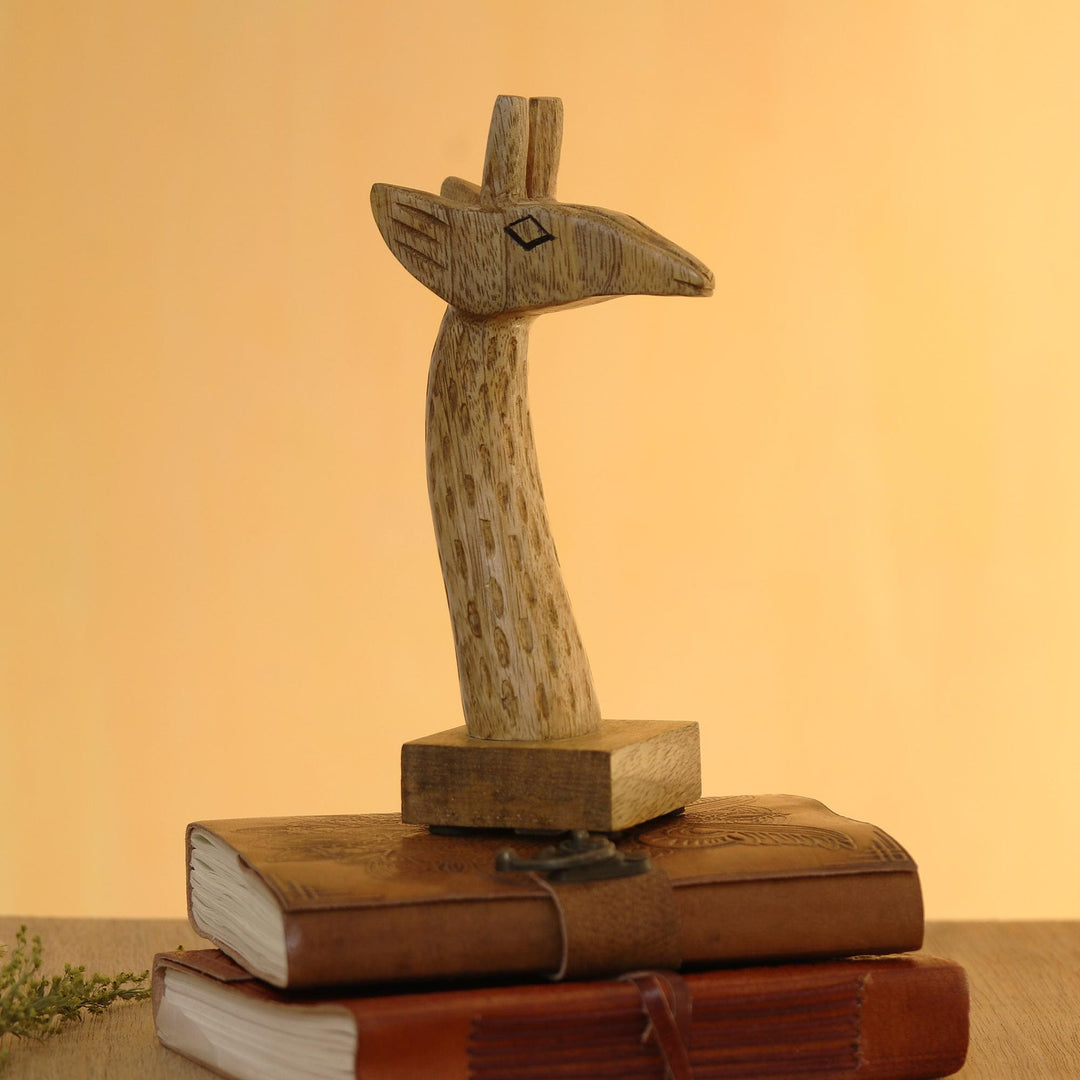 Spectacular Giraffe