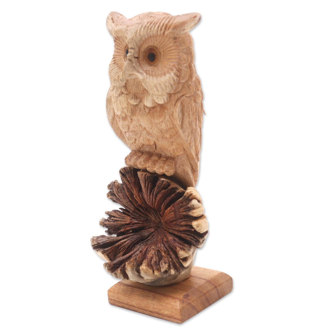 Hand Made Jempinis and Benalu Wood Owl Sculpture - Looking Forward