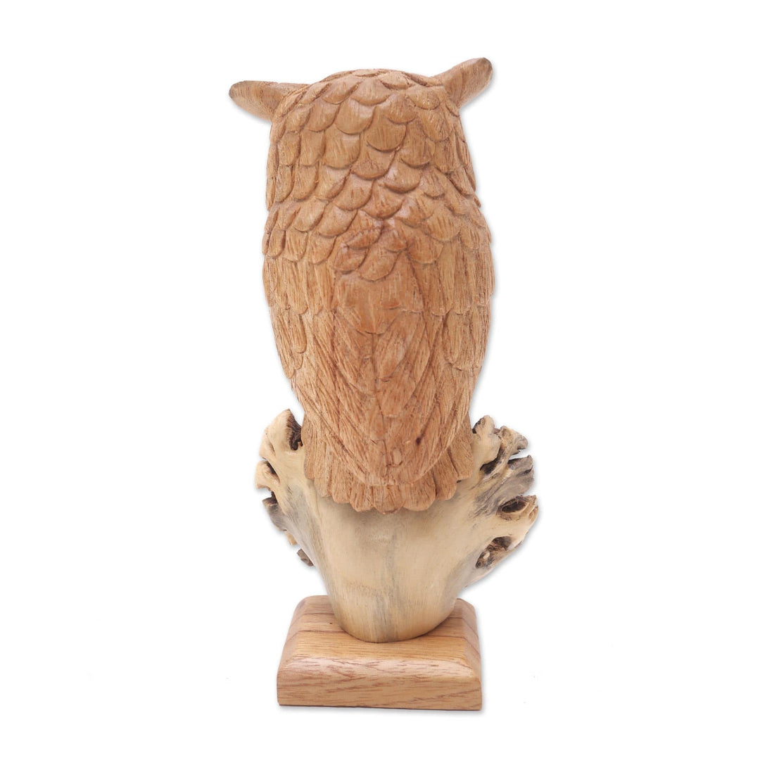 Hand Made Jempinis and Benalu Wood Owl Sculpture - Looking Forward