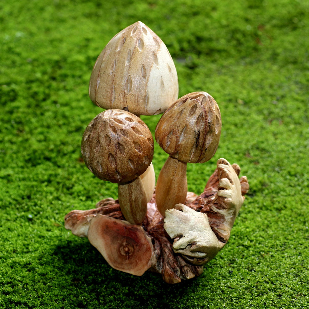 Living Mushrooms