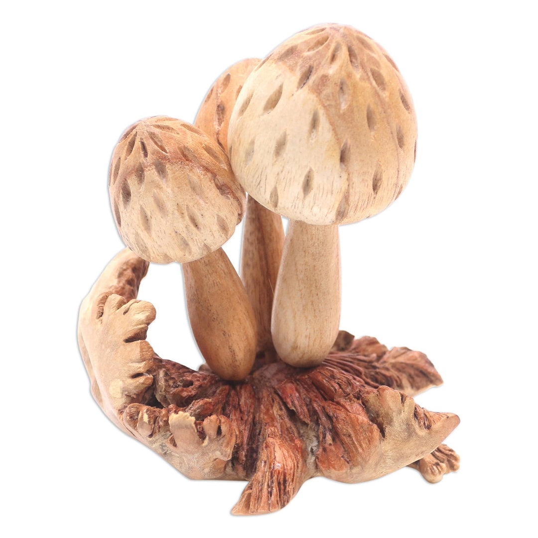 Hand Made Jempinis Wood Mushroom Sculpture - Living Mushrooms'