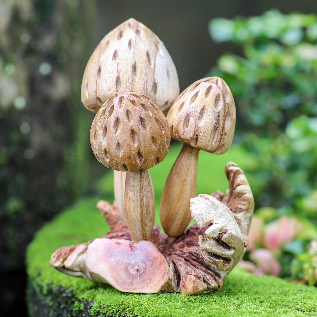 Hand Made Jempinis Wood Mushroom Sculpture - Living Mushrooms'