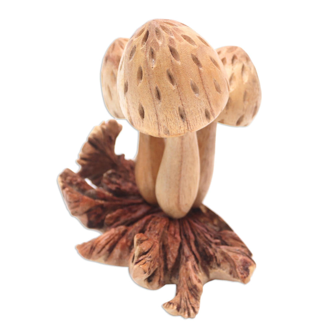 Hand Made Jempinis Wood Mushroom Sculpture - Living Mushrooms'