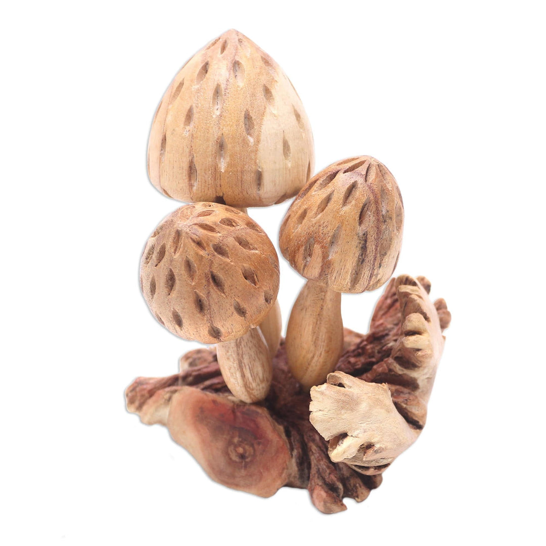 Hand Made Jempinis Wood Mushroom Sculpture - Living Mushrooms'