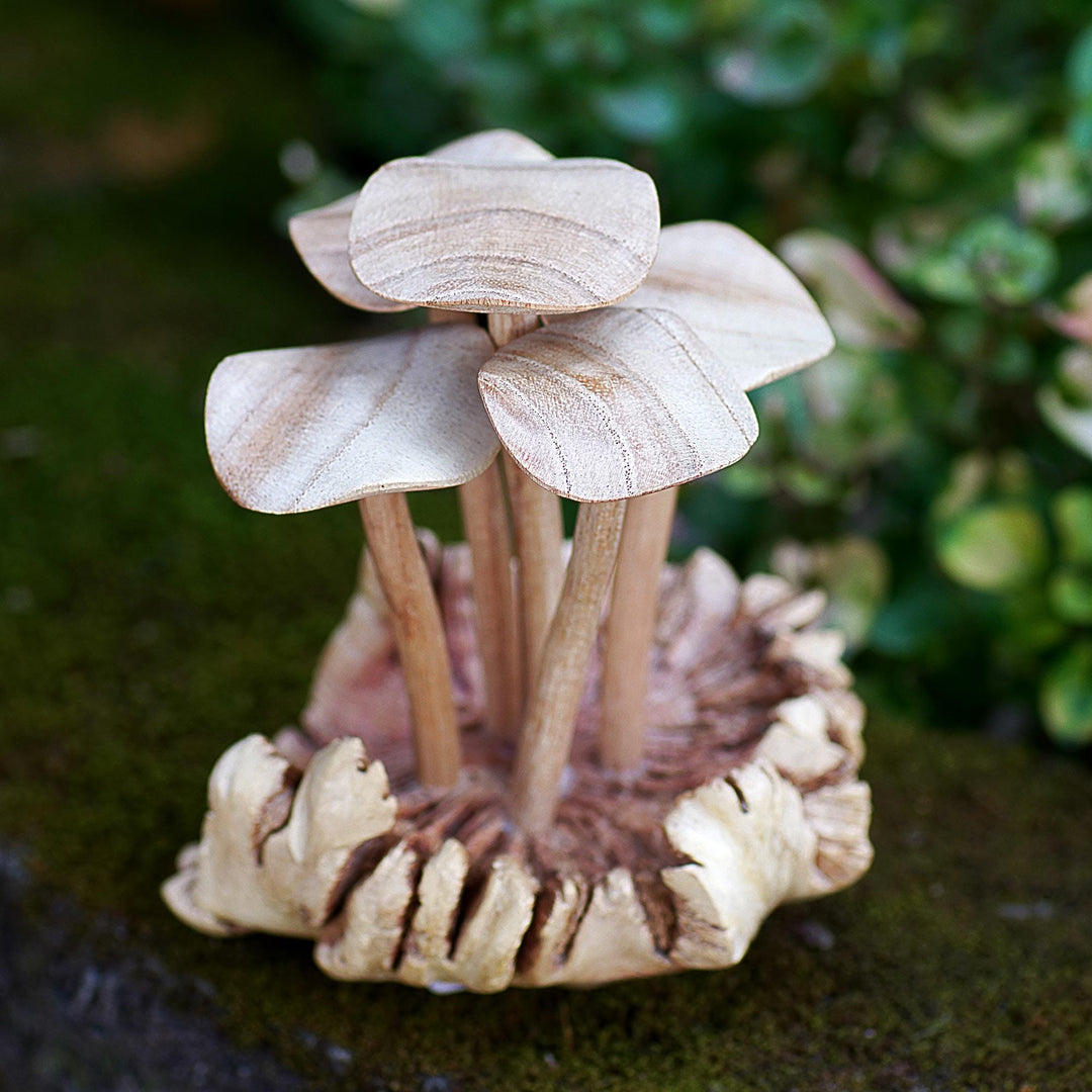 Tiger Milk Mushroom