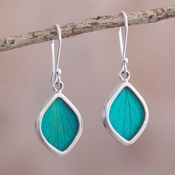 Natures Gem in Aqua