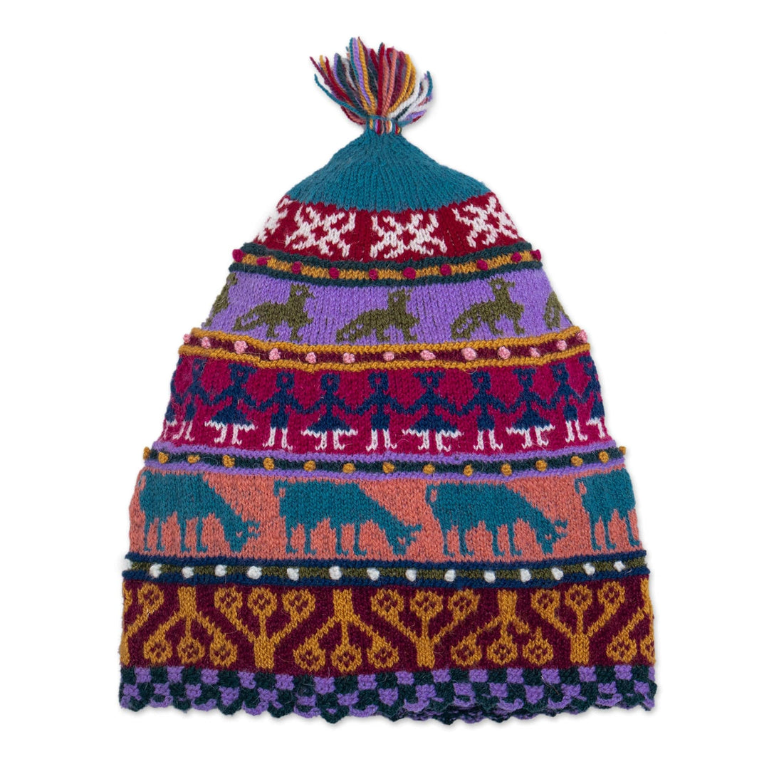 Multicolored Hand Knit Wool Hat - Qanchi Dance