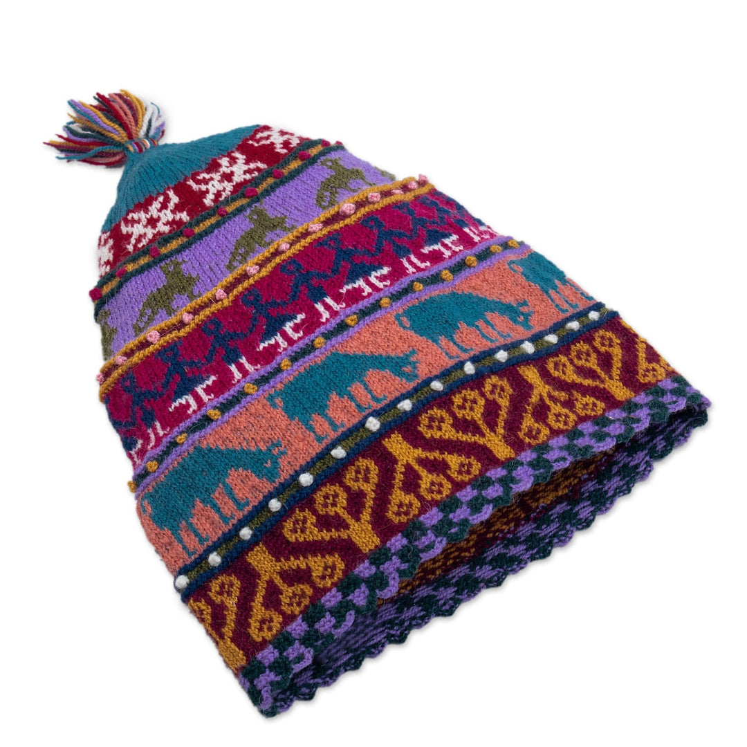 Multicolored Hand Knit Wool Hat - Qanchi Dance