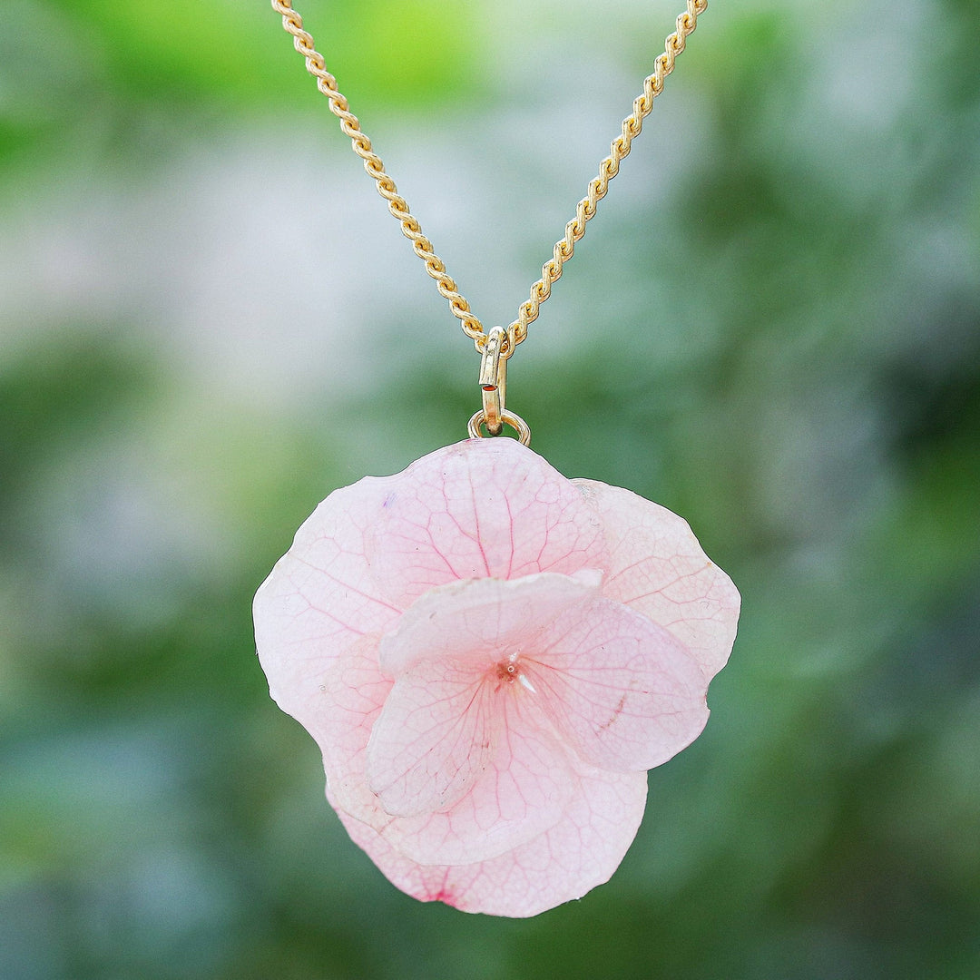 Wild Hydrangea in Pink