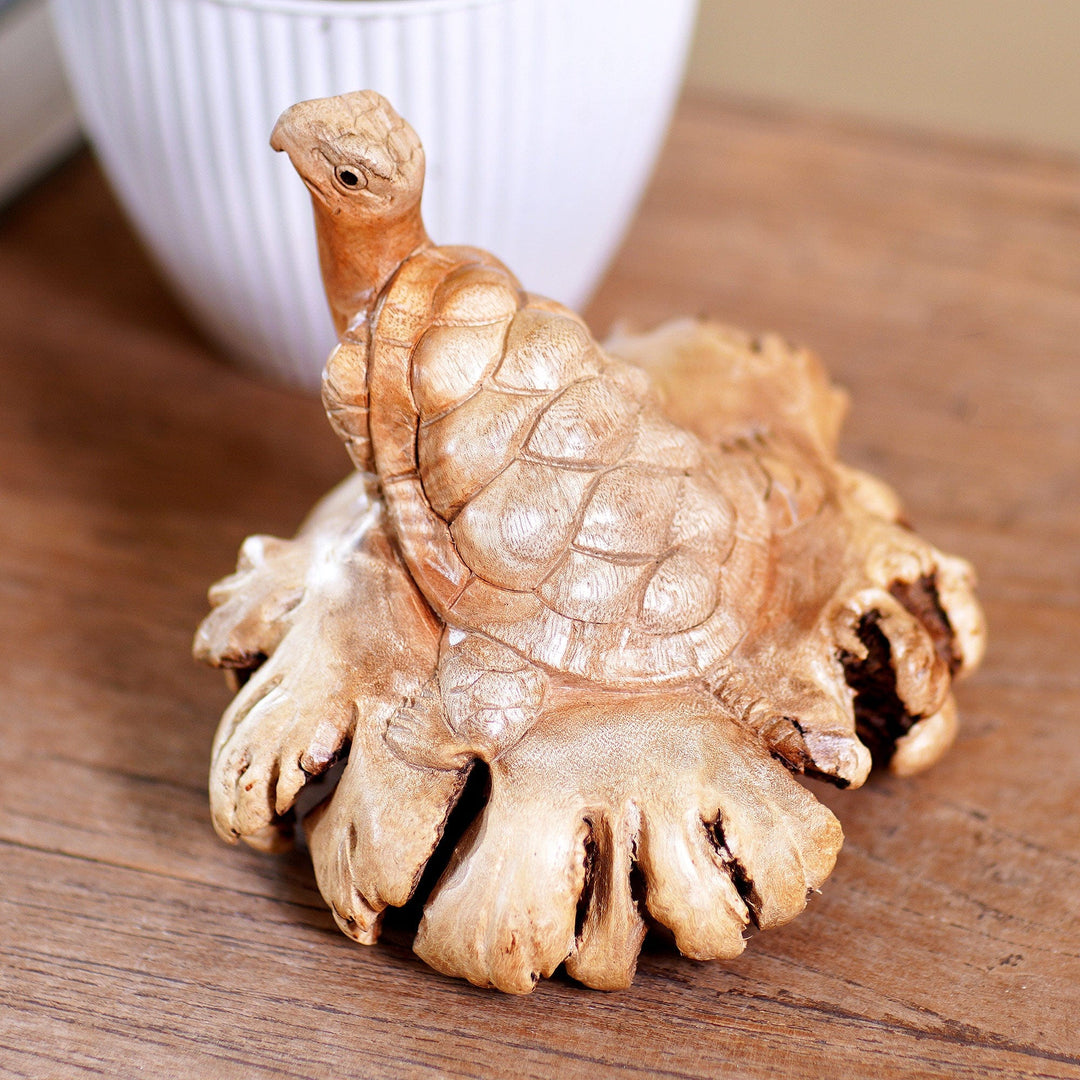 Struggling Turtle