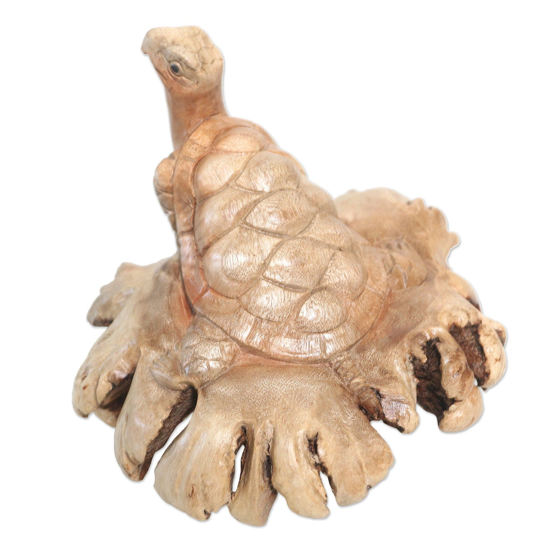 Hand Carved Jempinis Wood Turtle Sculpture - Struggling Turtle