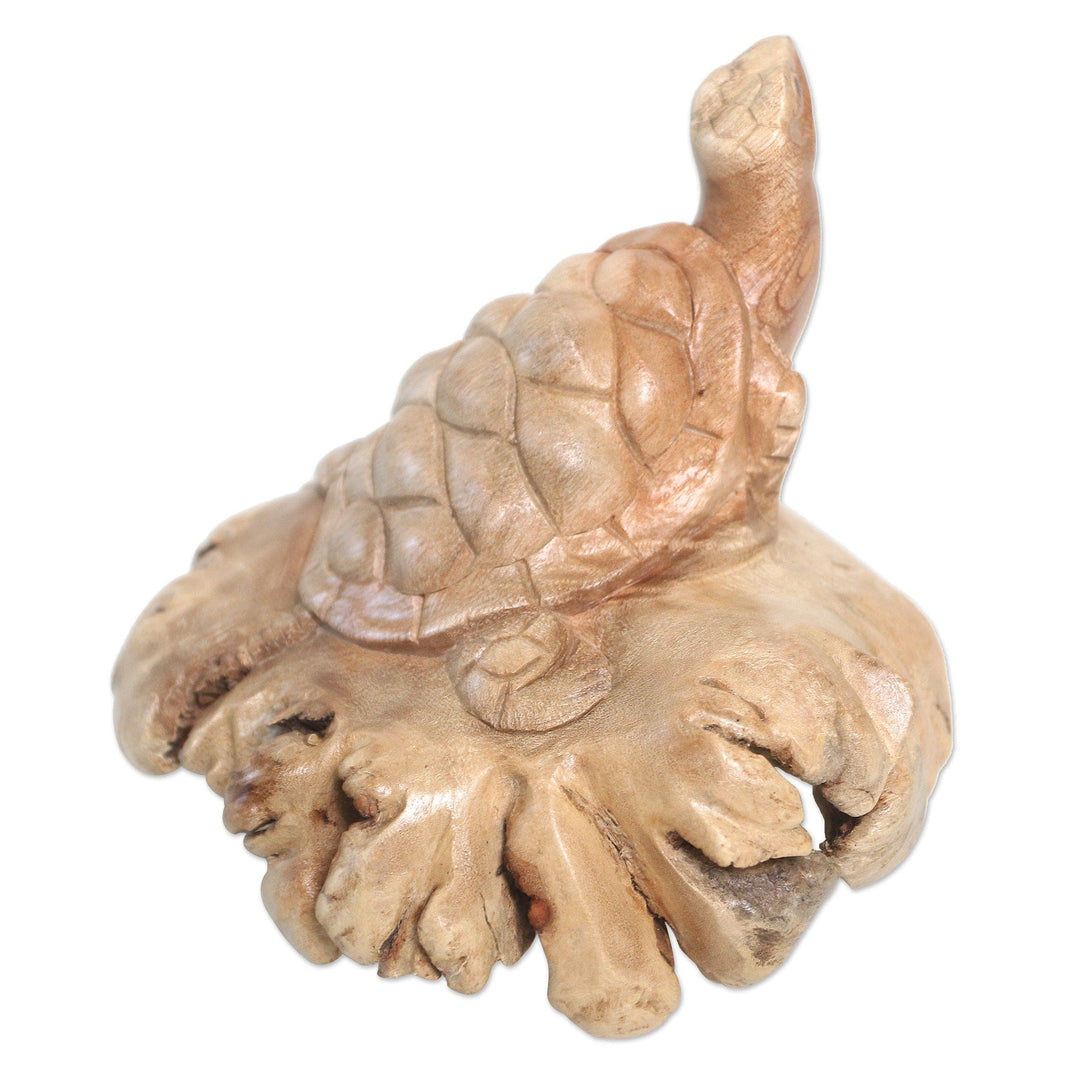 Hand Carved Jempinis Wood Turtle Sculpture - Struggling Turtle