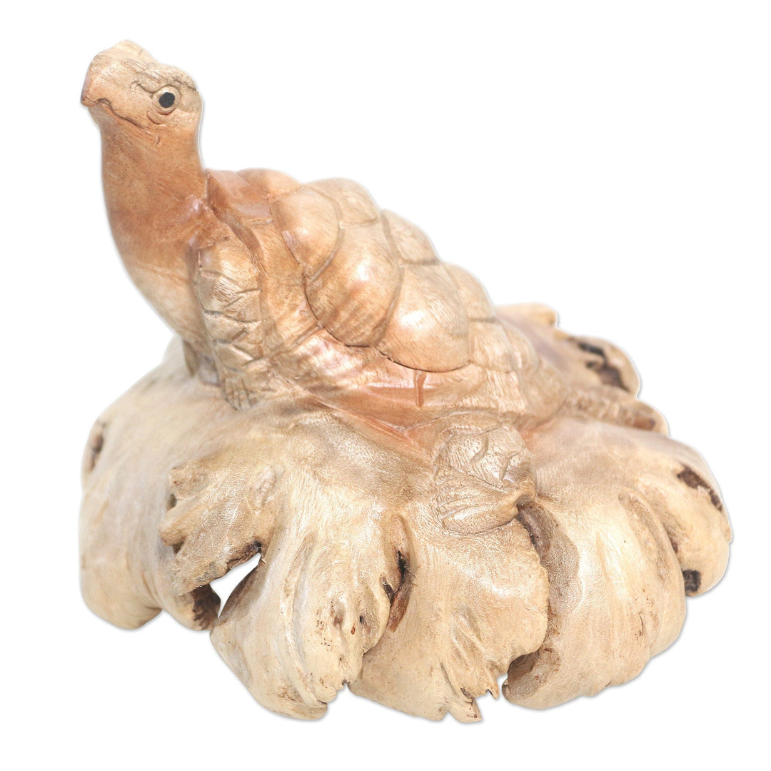 Hand Carved Jempinis Wood Turtle Sculpture - Struggling Turtle