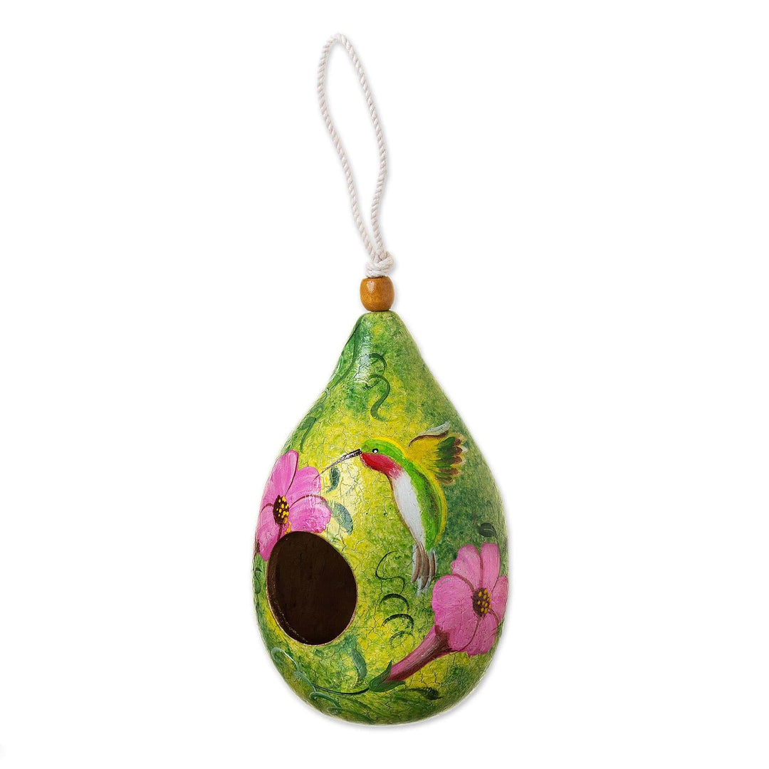 Hummingbird-Themed Green Dried Gourd Bird House from Peru - Hummingbird Lair