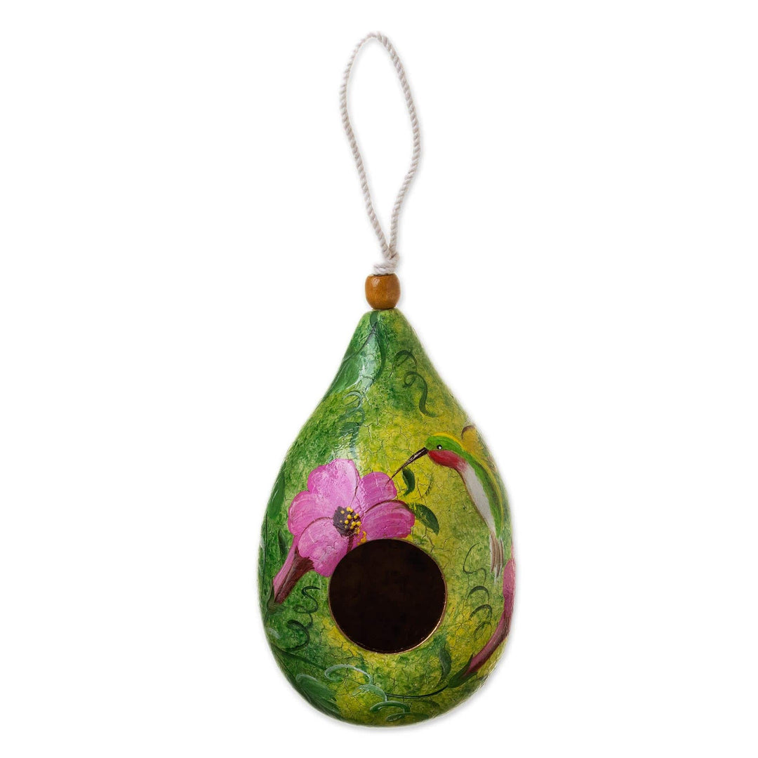 Hummingbird-Themed Green Dried Gourd Bird House from Peru - Hummingbird Lair