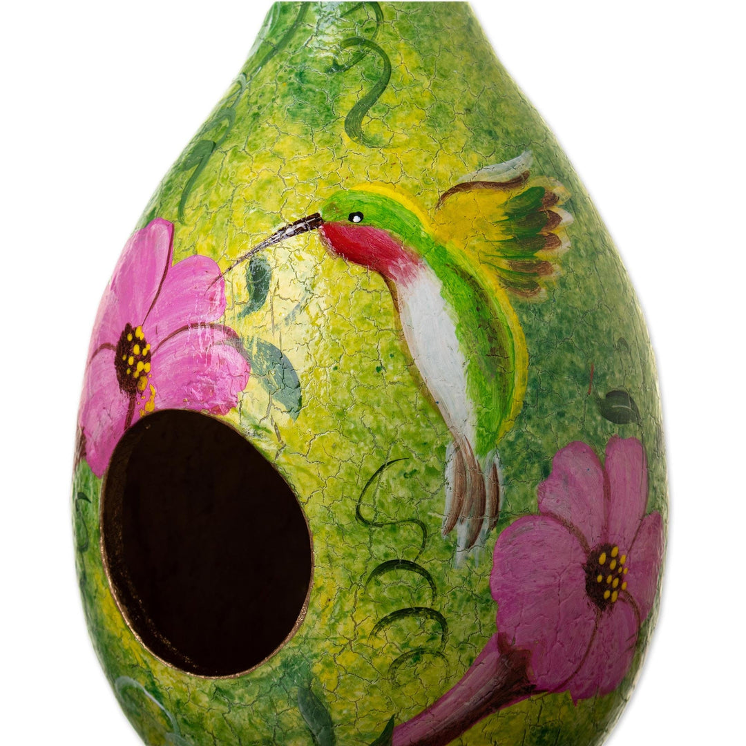 Hummingbird-Themed Green Dried Gourd Bird House from Peru - Hummingbird Lair