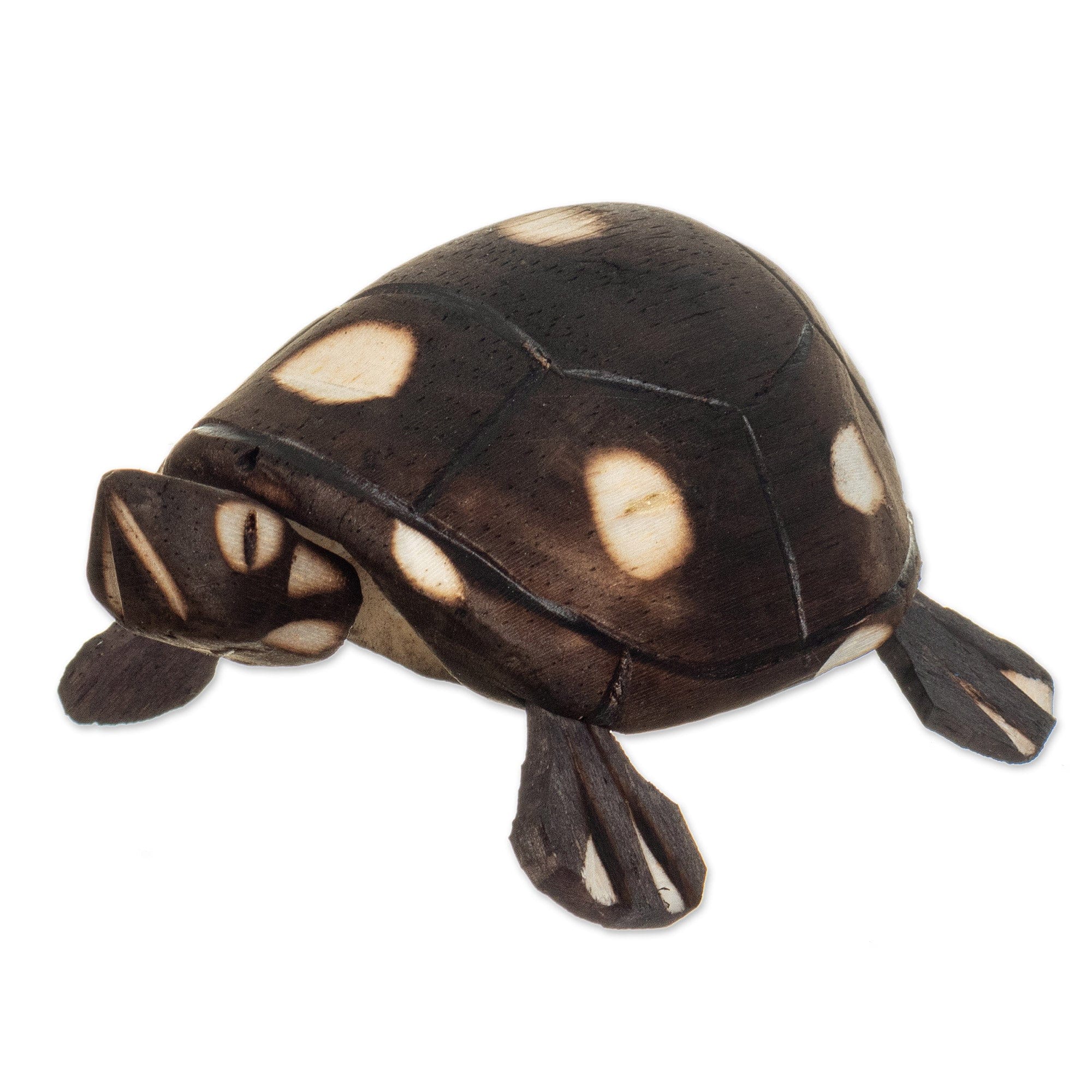 Handmade Wooden Tortoise from the Peruvian Amazon - Rainforest Tortois ...