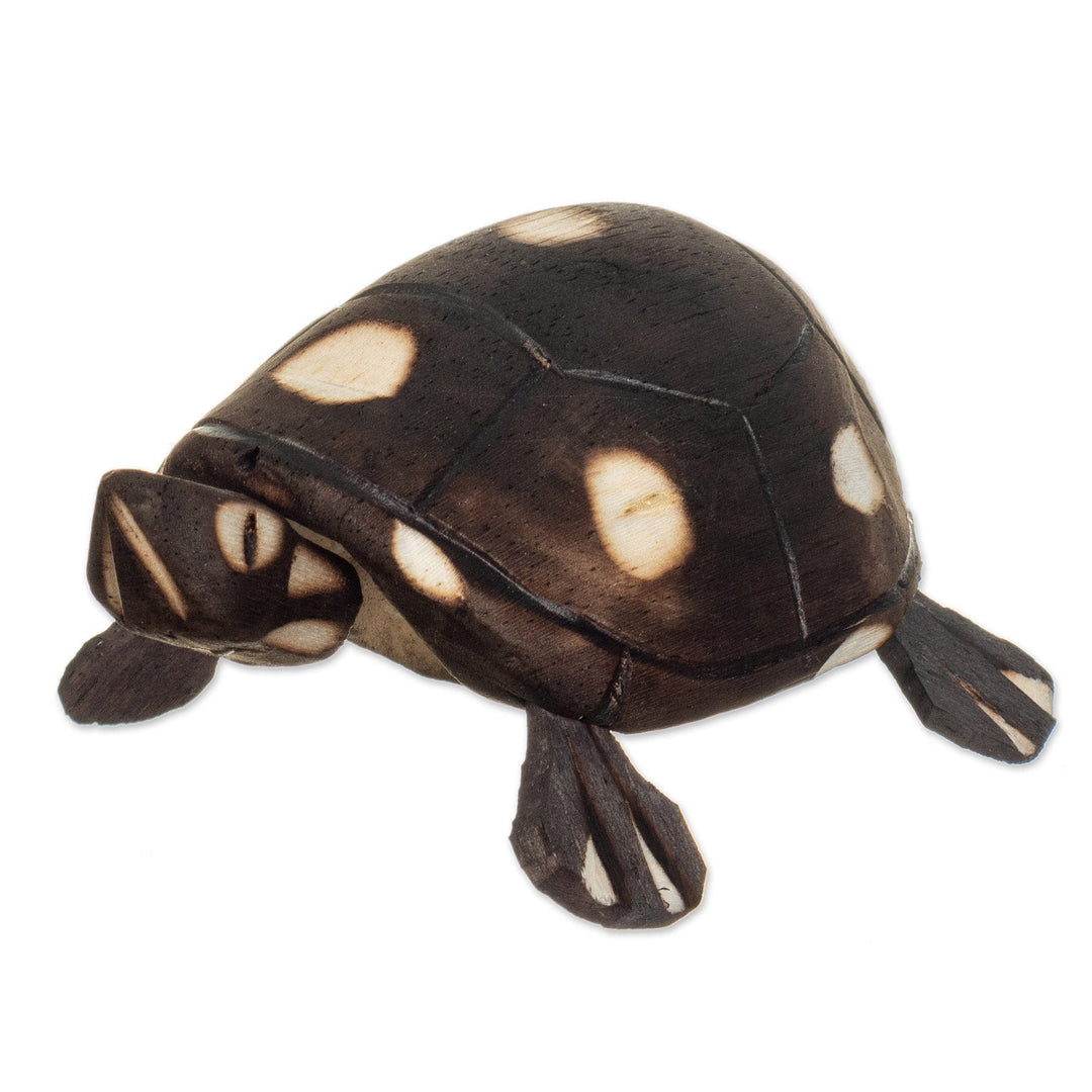 Handmade Wooden Tortoise from the Peruvian Amazon - Rainforest Tortoise