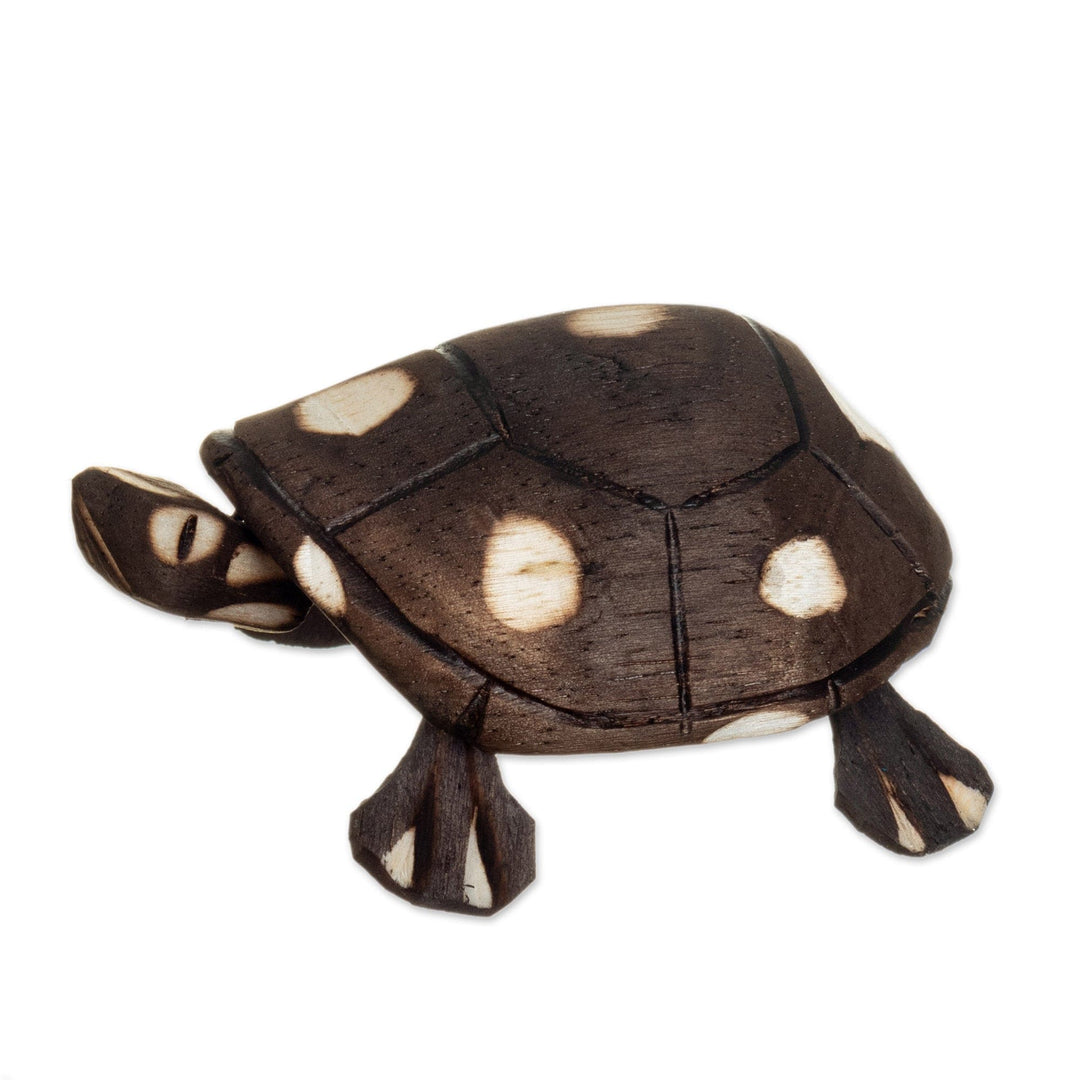 Handmade Wooden Tortoise from the Peruvian Amazon - Rainforest Tortoise