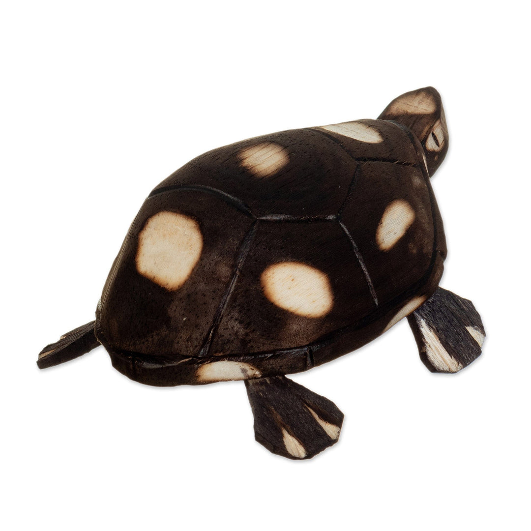Handmade Wooden Tortoise from the Peruvian Amazon - Rainforest Tortoise