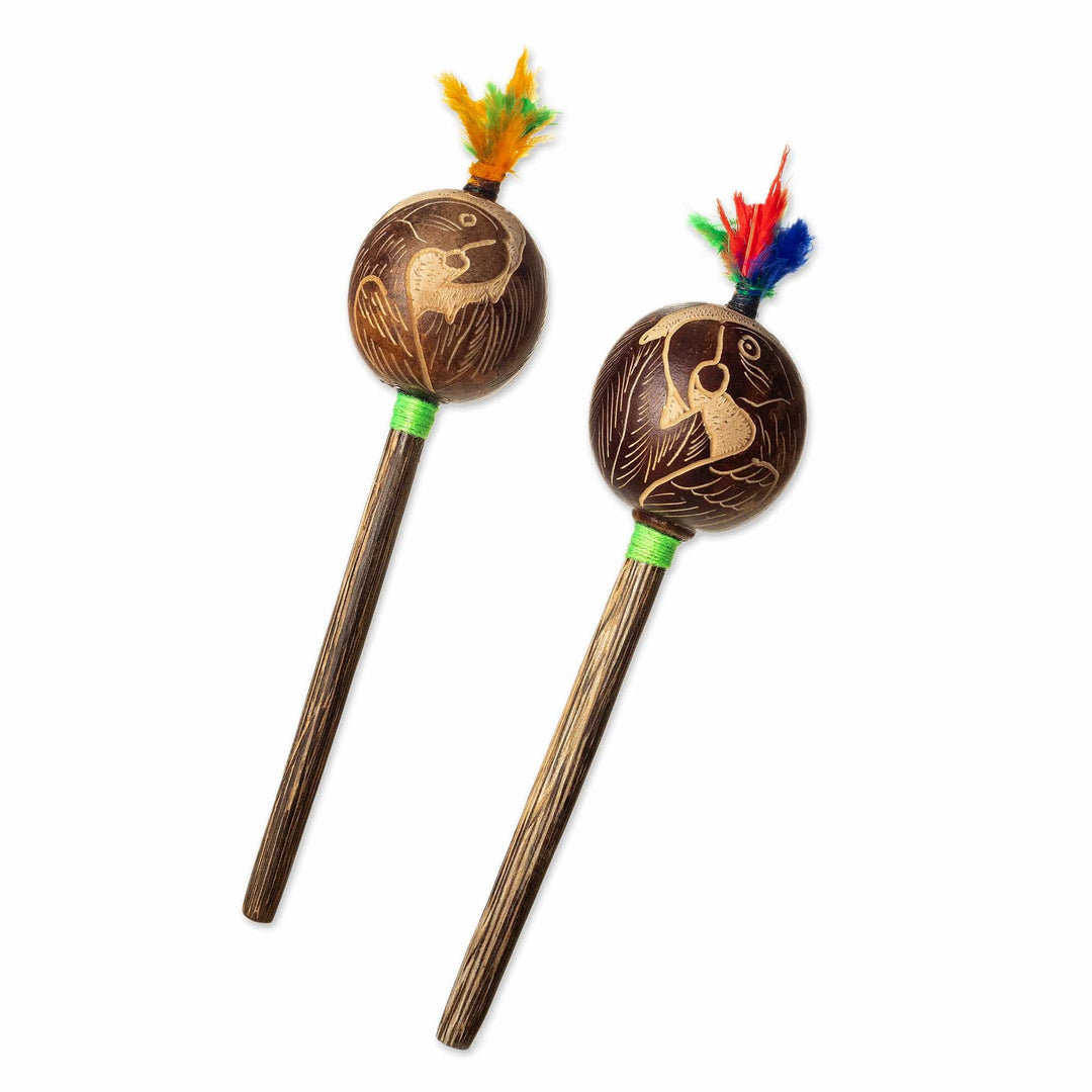 Amazonian Gourd Maracas (Pair) - Macaw Party