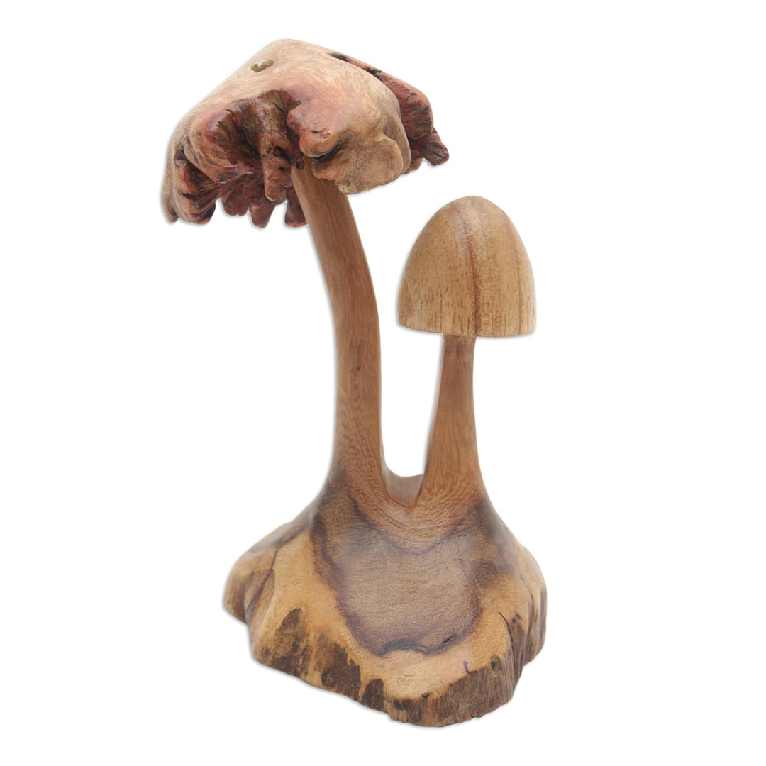 Eco-Friendly Handcrafted Jempinis and Benalu Wood Sculpture - Mushroom Forest