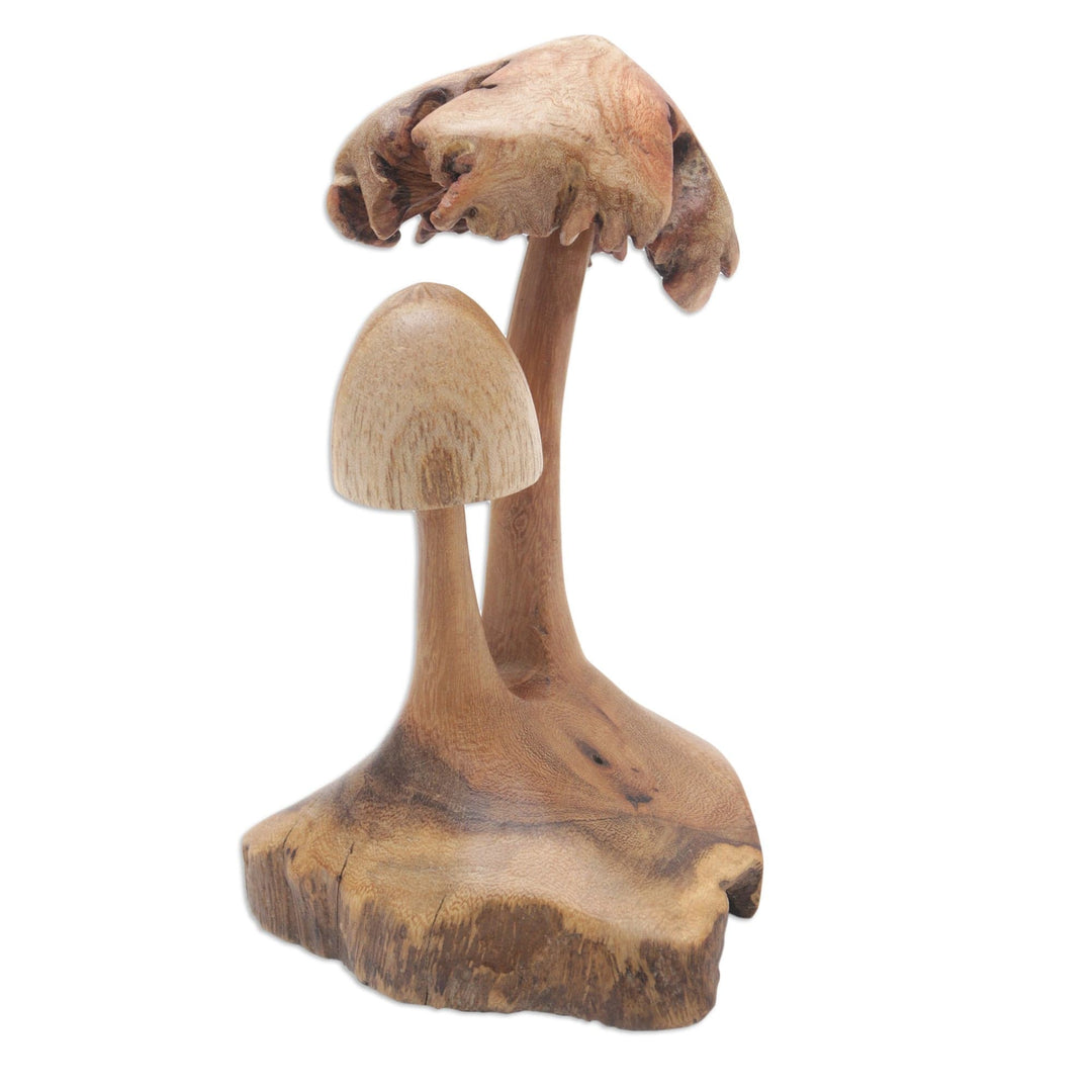 Eco-Friendly Handcrafted Jempinis and Benalu Wood Sculpture - Mushroom Forest