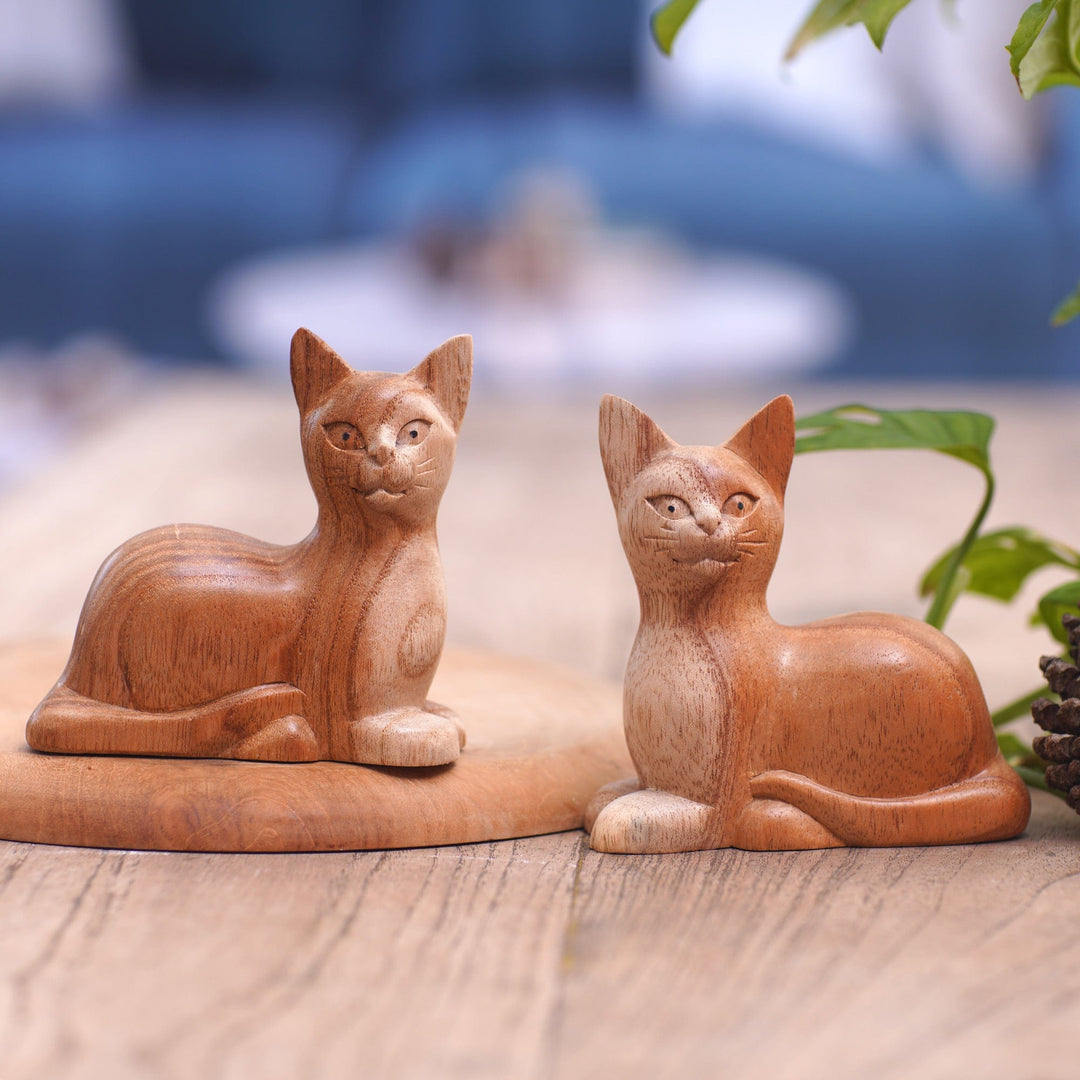 Feline Reflection