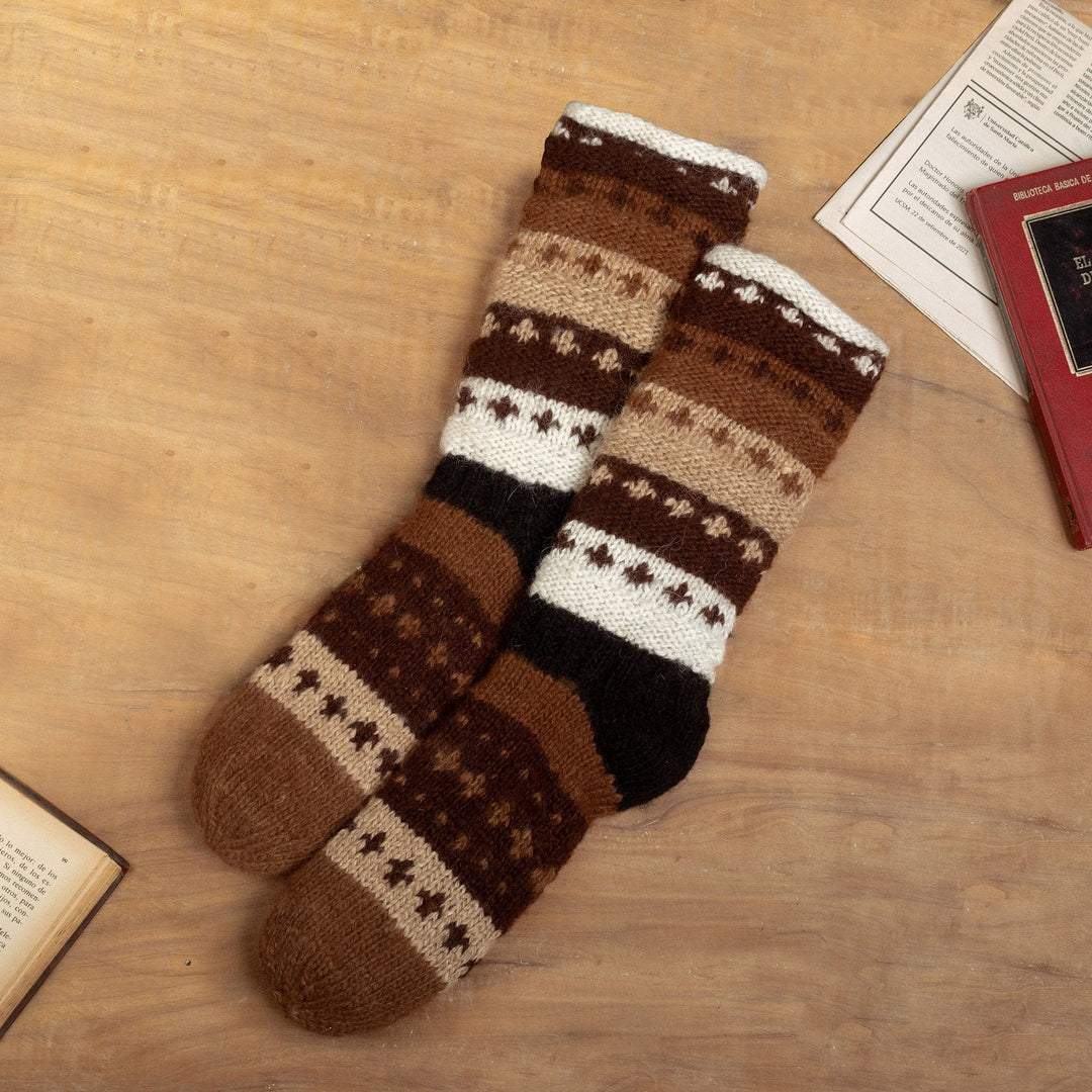 Chocolate Colors
