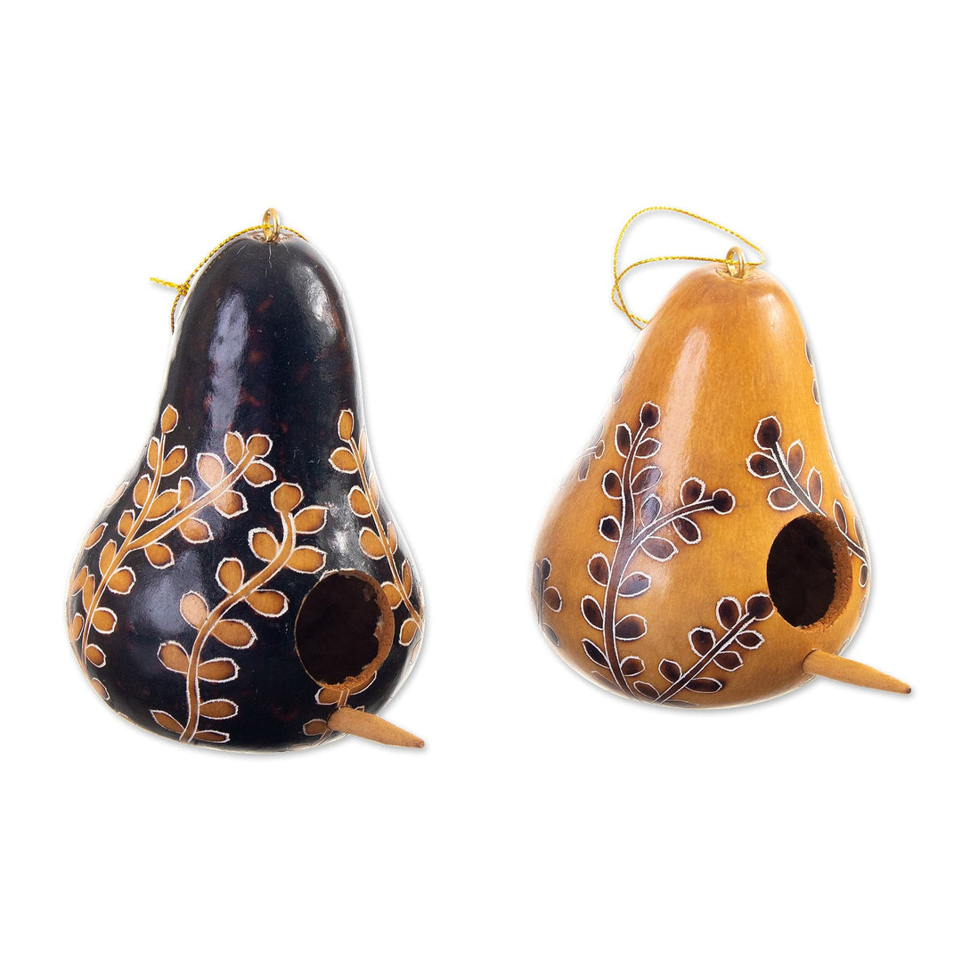 Set of 2 Leafy Painted Brown and Black Dried Gourd Ornaments - Natural Homes