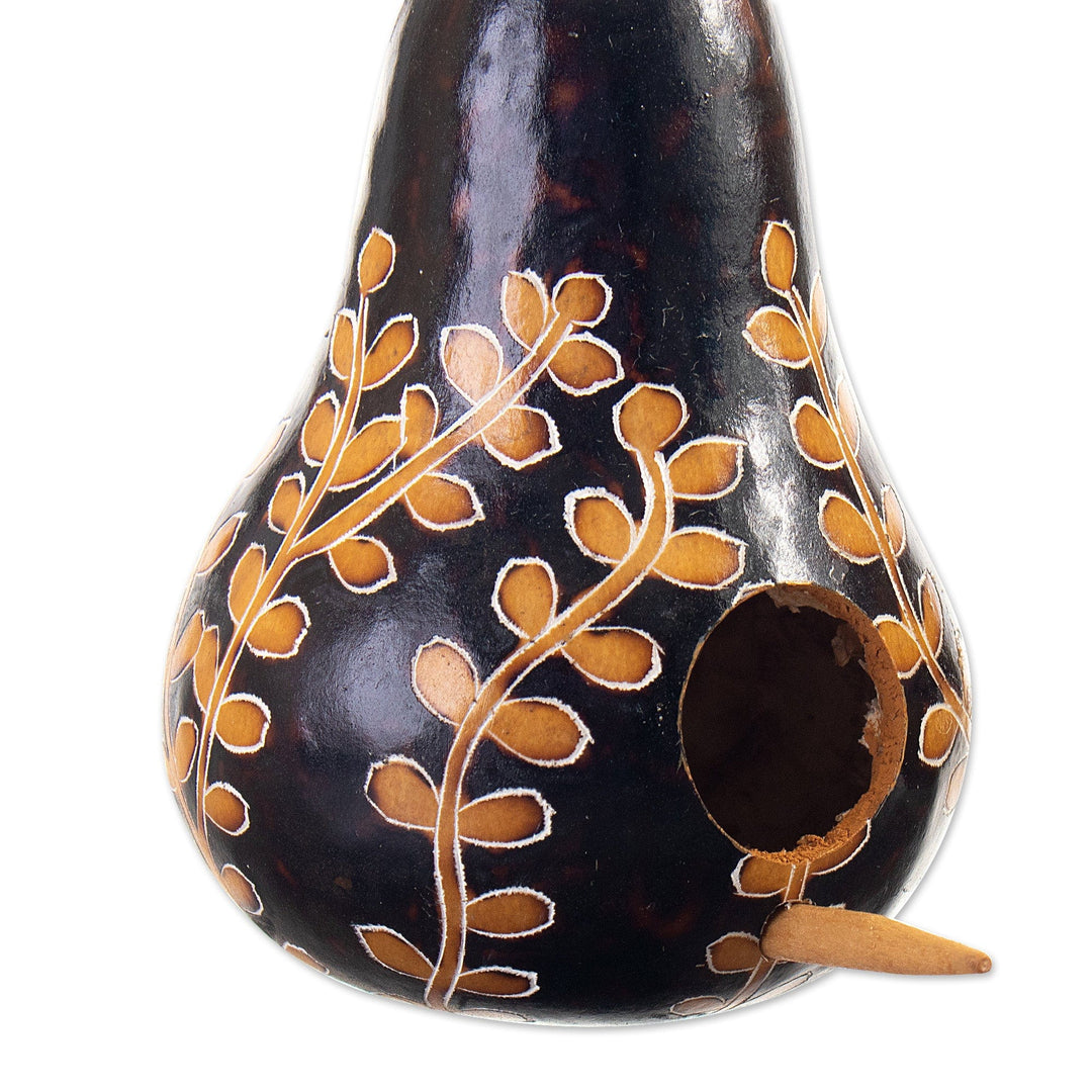 Set of 2 Leafy Painted Brown and Black Dried Gourd Ornaments - Natural Homes