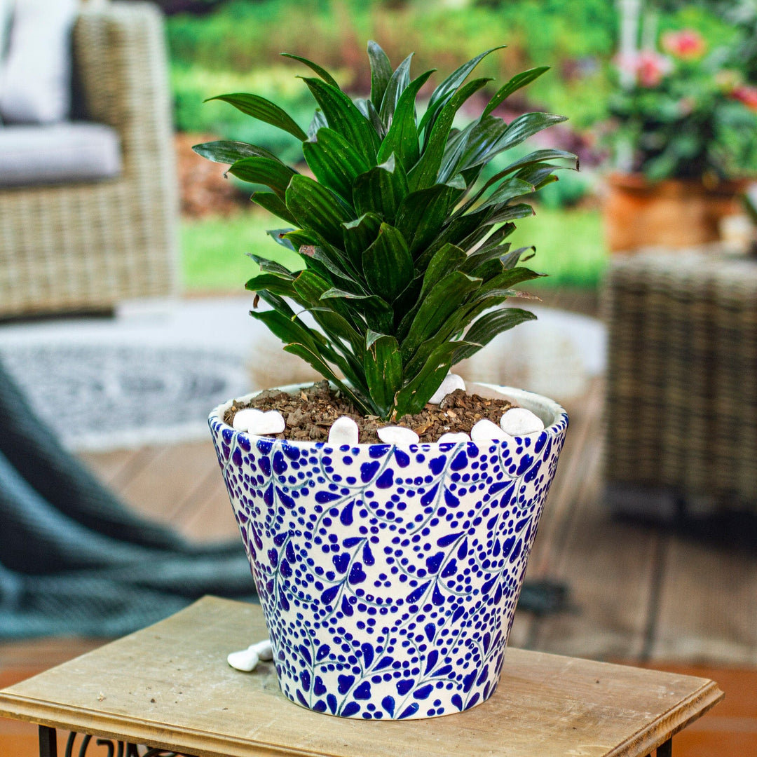 Talavera Leaves