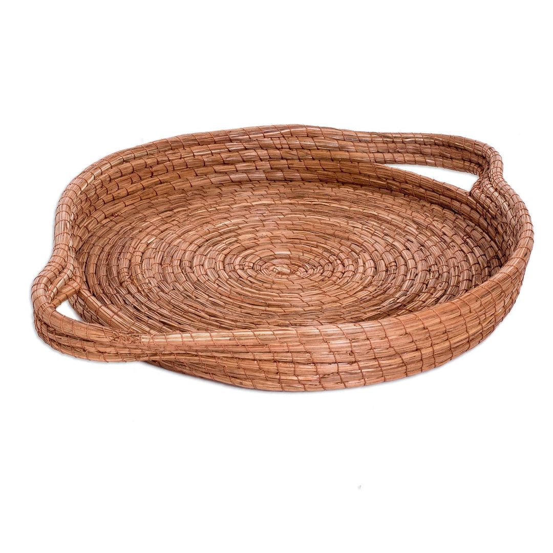 Handcrafted Round Natural Fiber Basket in Brown (Medium) - Fresh Leaf