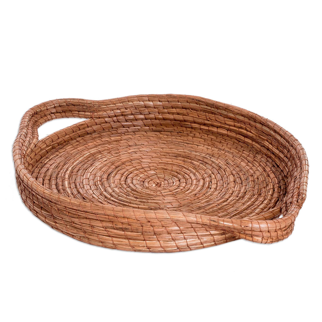 Handcrafted Round Natural Fiber Basket in Brown (Medium) - Fresh Leaf