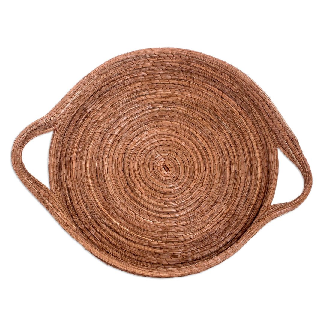 Handcrafted Round Natural Fiber Basket in Brown (Medium) - Fresh Leaf