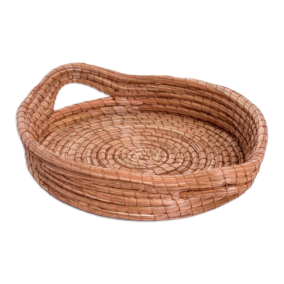 Handcrafted Round Natural Fiber Basket in Brown (Small) - Fresh Leaf
