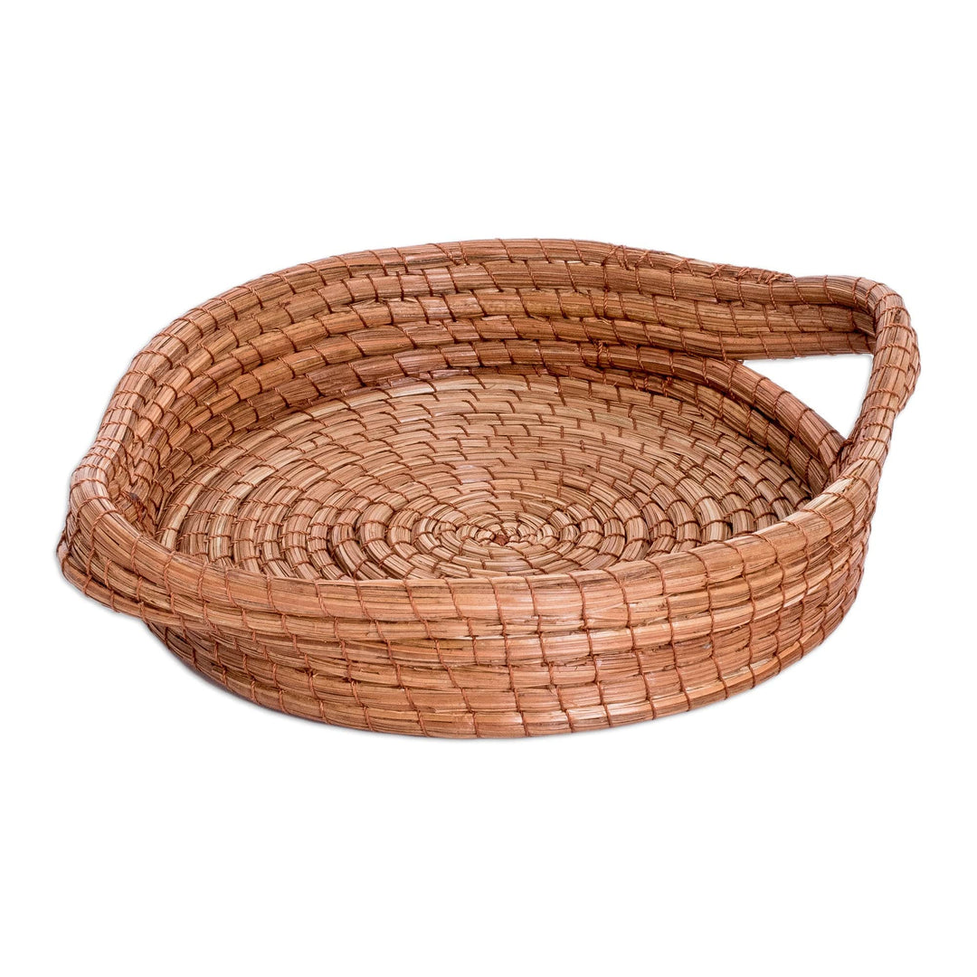 Handcrafted Round Natural Fiber Basket in Brown (Small) - Fresh Leaf