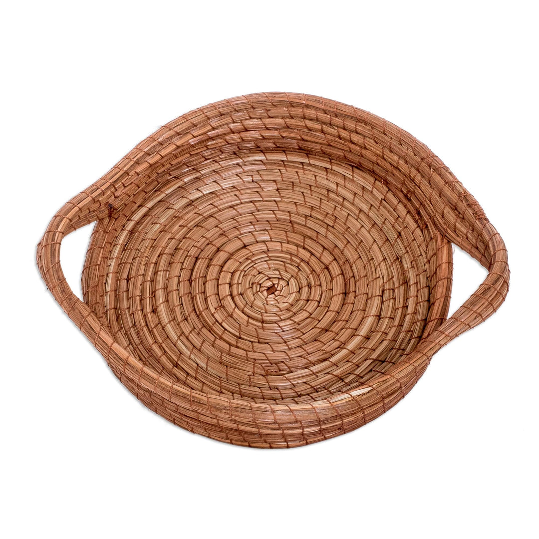 Handcrafted Round Natural Fiber Basket in Brown (Small) - Fresh Leaf
