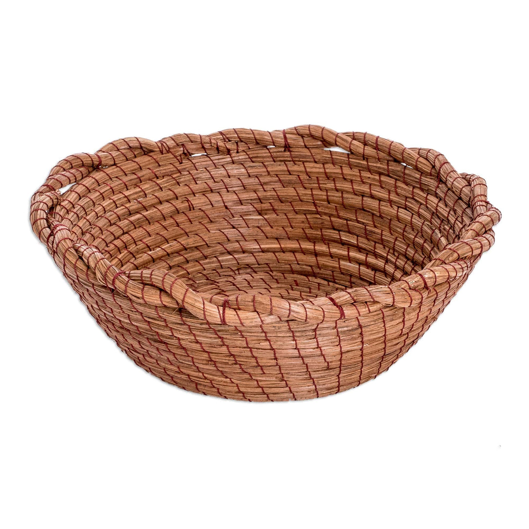 Handcrafted Natural Fiber Basket with Braided Accents - Nature's Embrace
