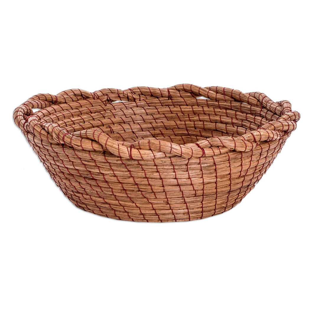 Handcrafted Natural Fiber Basket with Braided Accents - Nature's Embrace