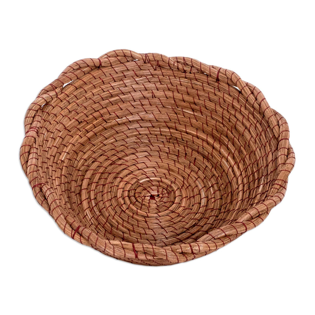 Handcrafted Natural Fiber Basket with Braided Accents - Nature's Embrace