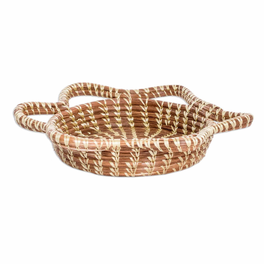 Handcrafted Brown Natural Fiber Basket from Guatemala - Stellar